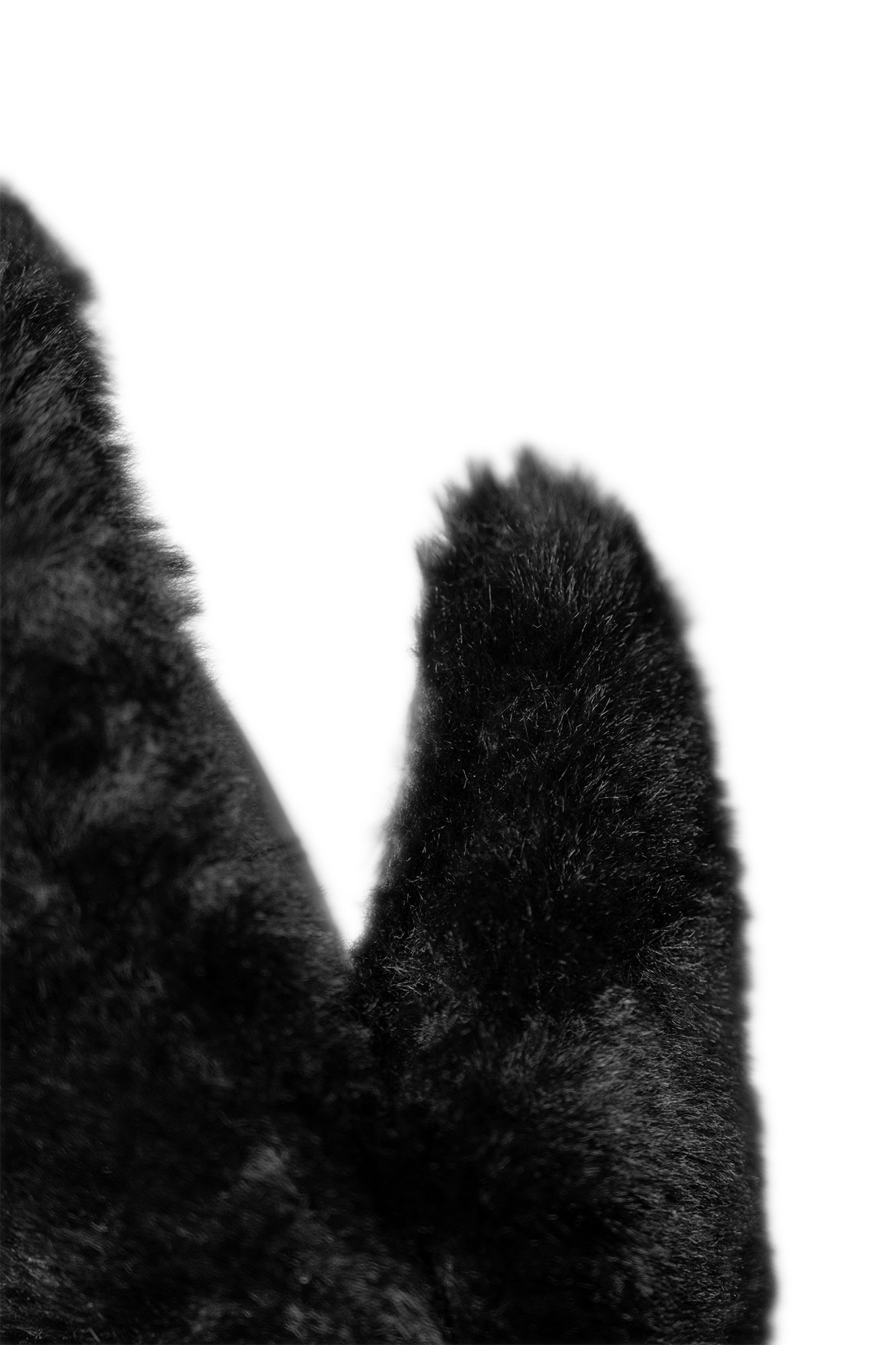 REUSCH - MOLLY R-TEX XT MITT W