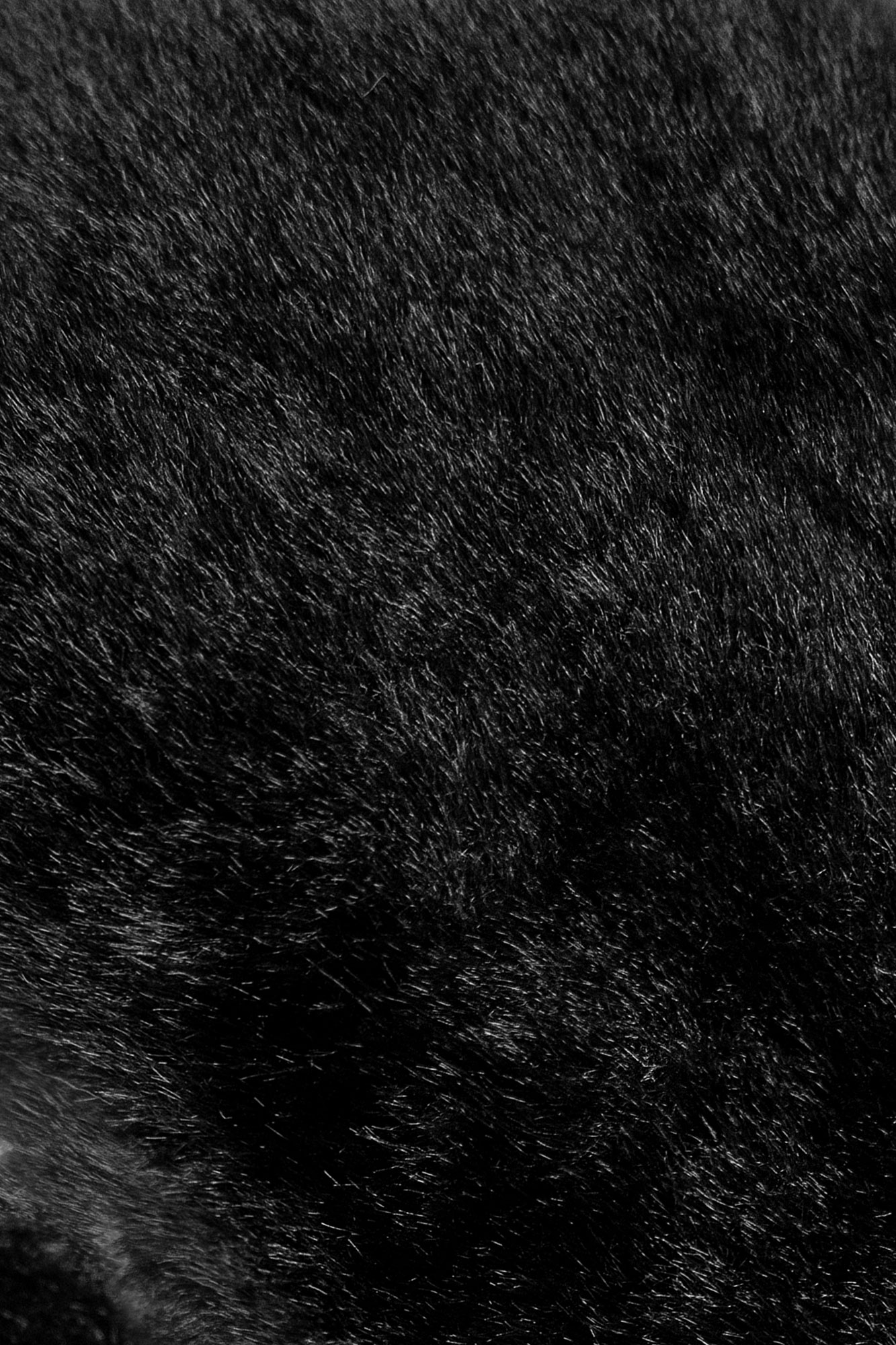 REUSCH - MOLLY R-TEX XT MITT W