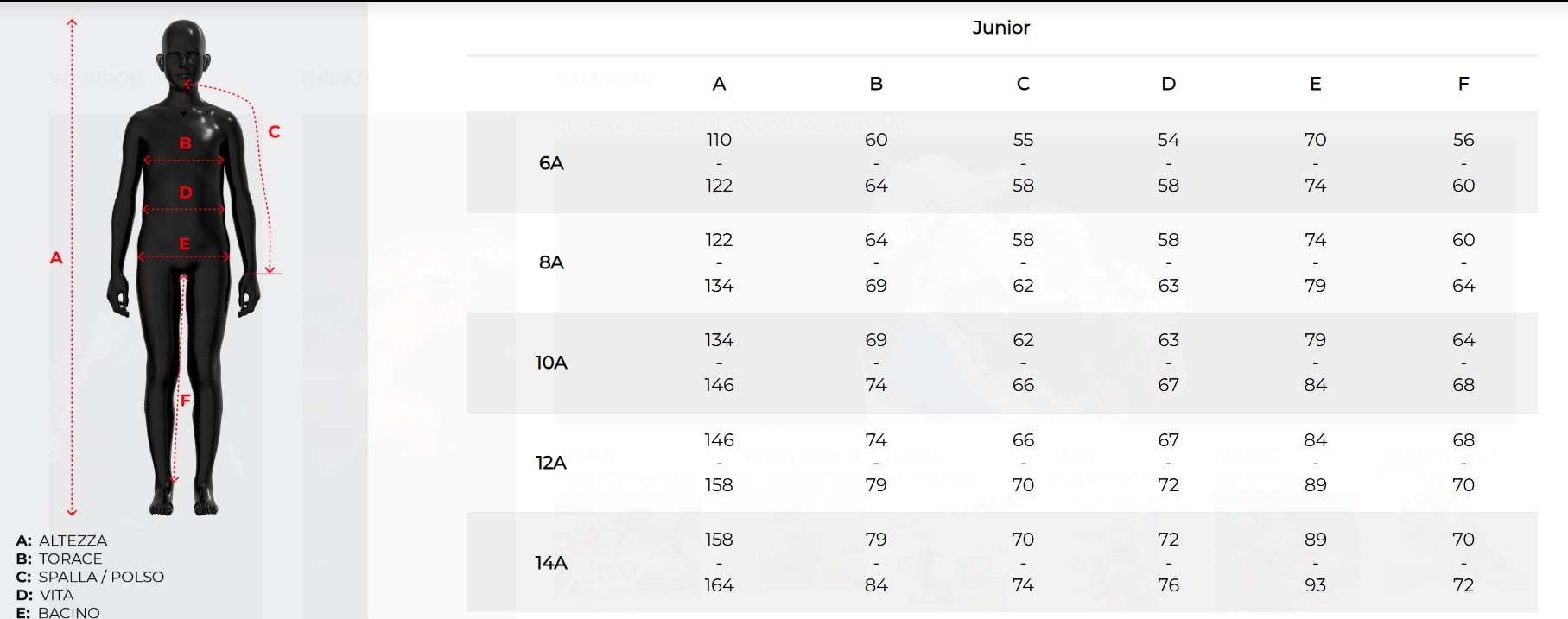 ENERGIAPURA - GIUBBINO NEW GARDENA JR